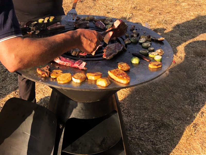 ECO GRILL 100 